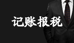 新成立的公司記賬報稅方面有哪些選擇？