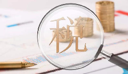 電子稅務(wù)局1月新增重點功能！速看！