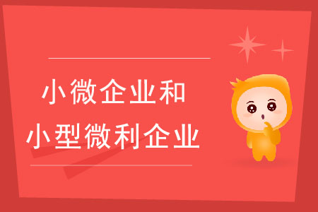 小微企業(yè)和小型微利企業(yè)有什么區(qū)別？